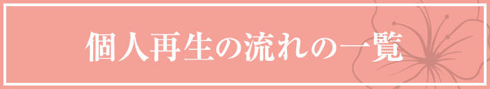 個人再生の流れの一覧