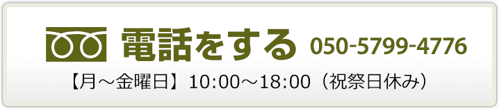 電話をする