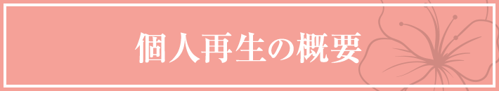 個人再生の概要